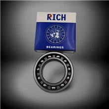 6310/C3 RICH 50x110x27 6310C3 RICH