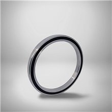 16003-2RS RICH 17x35x8 16003-2RS RICH