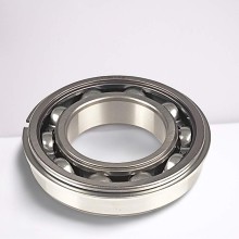 6201 NR RICH 12x32x10 6201NR RICH