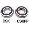 CSK 17 PP RICH 17x40x12 CSK17PP RICH