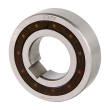 CSK 25 P RICH 25x52x15 CSK25P RICH