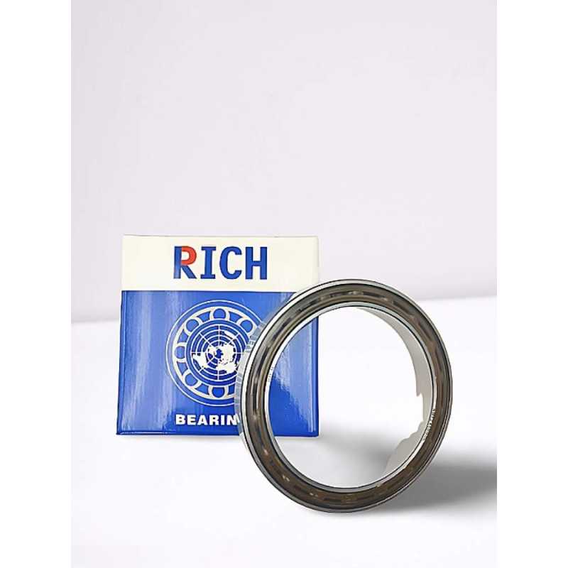 AB 12458 S06 RICH 100x130x16,5 AB12458S06 RICH