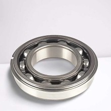 6016 NR RICH 80x125x22 6016NR RICH