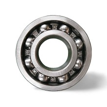 6309 N RICH 45x100x25 6309N RICH