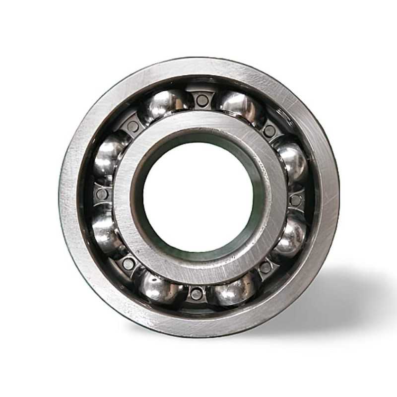 6309 N RICH 45x100x25 6309N RICH