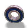 SS 62202-2RS RICH 15x35x14 SS-62202-2RS RICH