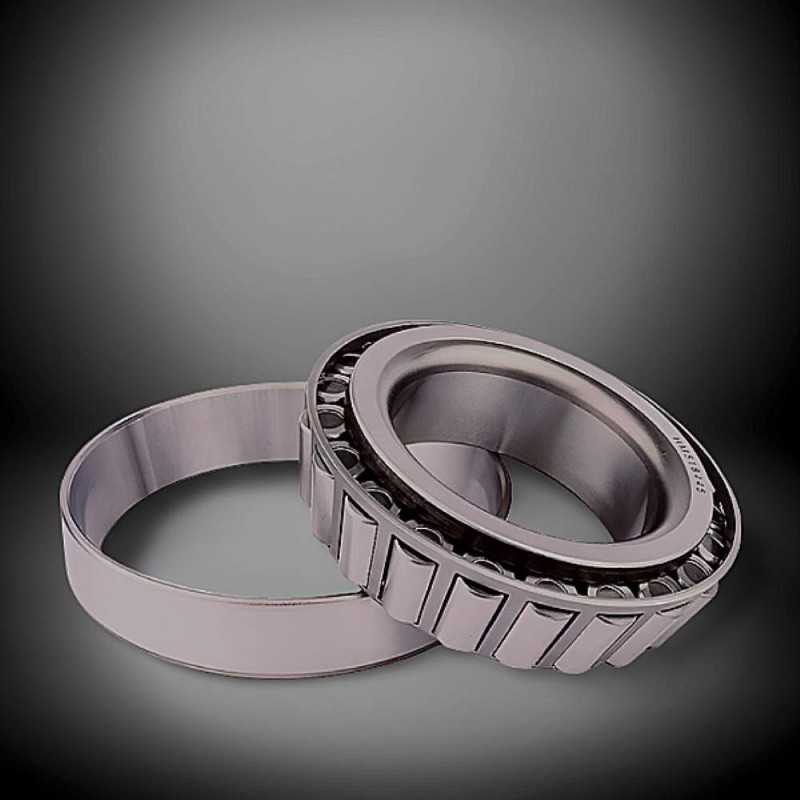 SS 30205 RICH 25x52x16,25 SS30205 RICH