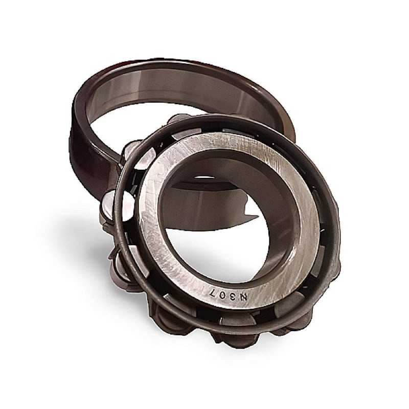 N-307 RICH 35x80x21 N307 RICH