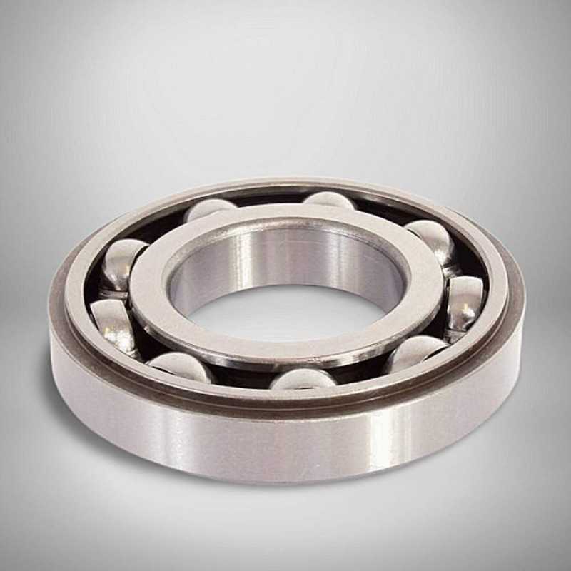 R30BCS6 RICH 30x62x11,3 30BCS6 RICH