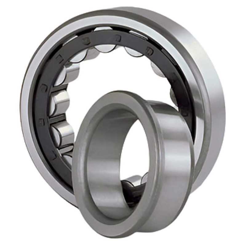 NJ 2204 RICH 20x47x18 NJ2204 RICH