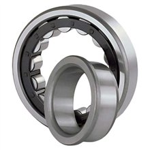 NJ 2309 RICH 45x100x36 NJ2309 RICH