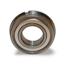 6003-2Z-NR RICH 17x35x10 60032ZNR RICH