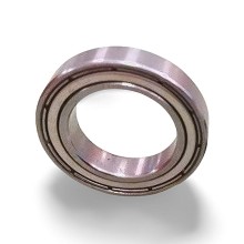 SS 61800 2Z RICH 10x19x5 SS618002Z RICH