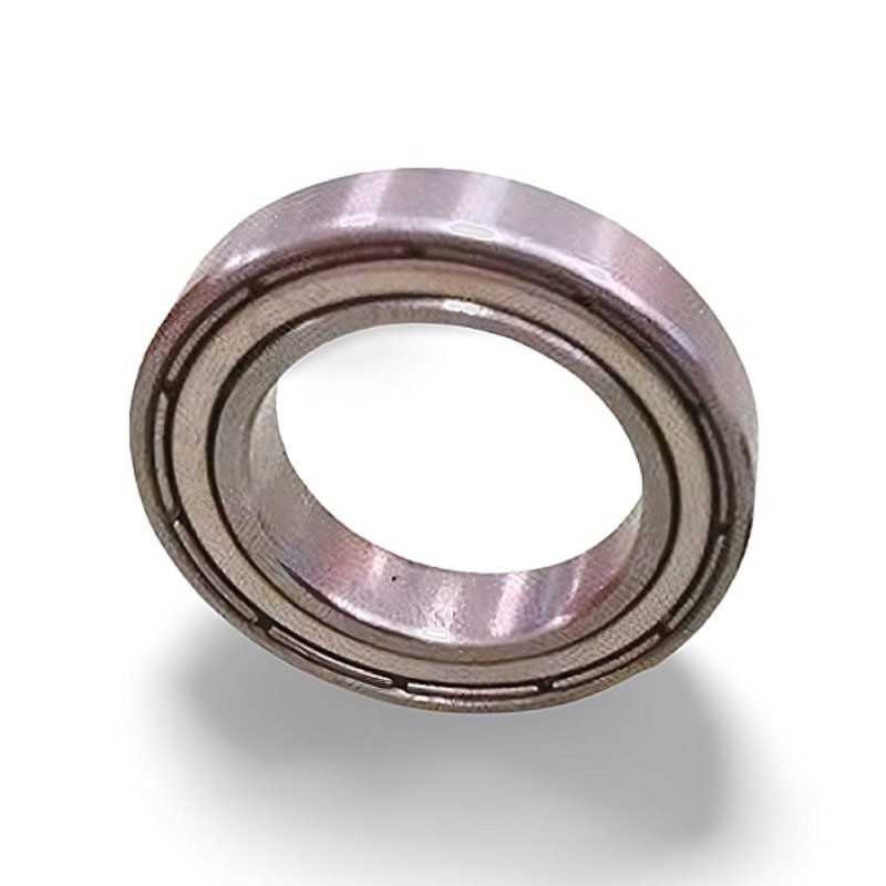 SS 61800 2Z RICH 10x19x5 SS618002Z RICH