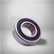 2206 2RS RICH 30x62x20 22062RS RICH