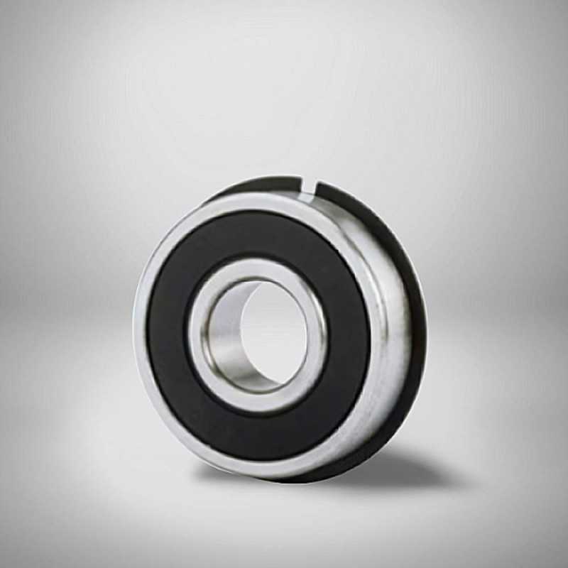 6006-2RS NR RICH 30x55x13 60062RSNR RICH