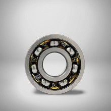 6307 N RICH 35x80x21 6307N RICH