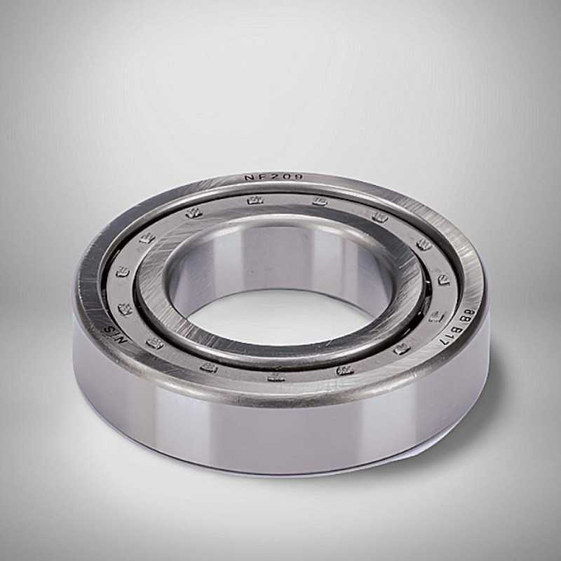 NF 209 E RICH 45x85x19 NF209E RICH