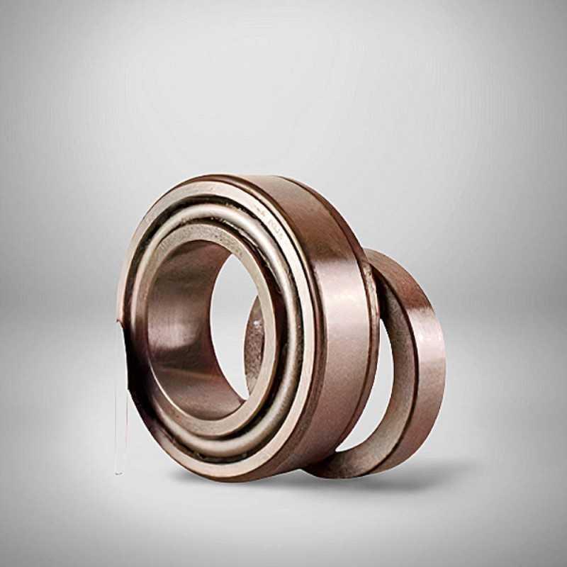 U497/U460L RICH 44,987x79,975x24 U497/U460L RICH