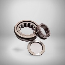 NUP 311 NR RICH 55x120x29 NUP311NR RICH