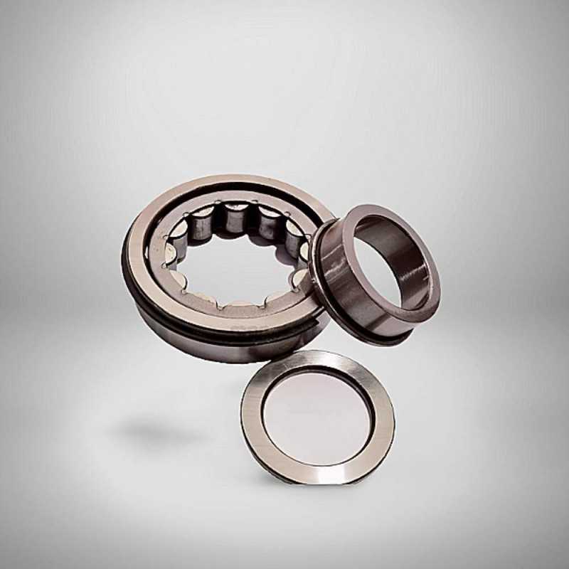 NUP 311 NR RICH 55x120x29 NUP311NR RICH