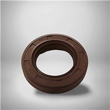 Sealing Ring VITON 35x50x10 | Double Lip Seal 35x50x10DLS RICH
