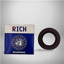 Sealing Ring FPM 65x100x10 | Double Lip Seal 65x100x10DLS RICH