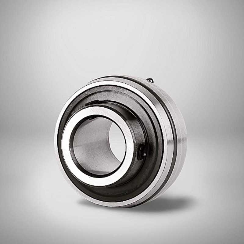 UC 206 RICH 30x62x38,1 UC206 RICH