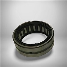 RNA 6910 2RS RICH 58x72x40 RNA6910-2RS RICH