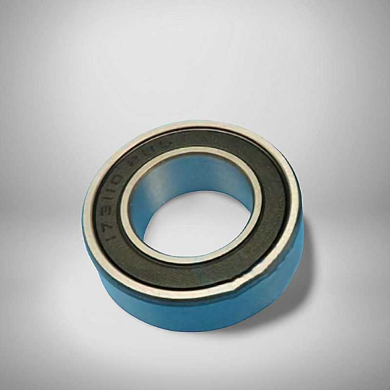 RRS206-2RS RICH 30x62x16 1726206-2RS RICH