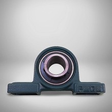 UCP 204 RICH UCP204 RICH