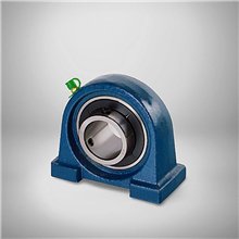 UCPA 204 RICH UCPA204 RICH