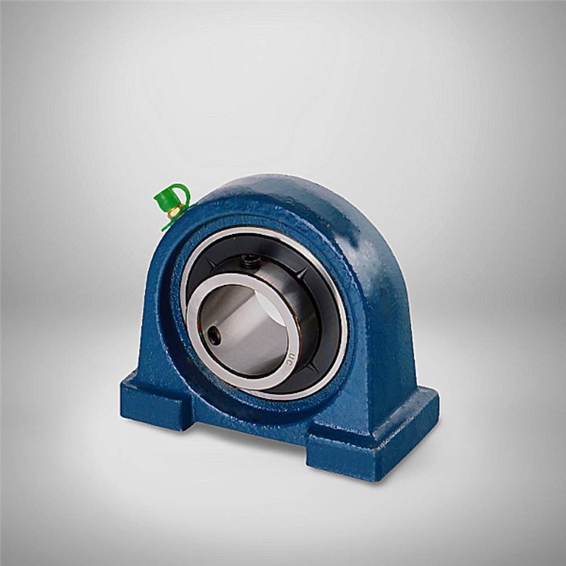 UCPA 209 RICH UCPA209 RICH