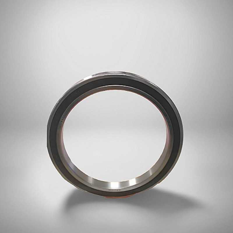 6826-2RS RICH 130x165x18 61826-2RS RICH