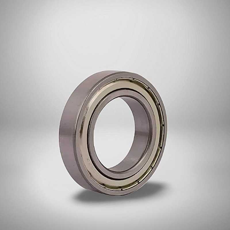 61919-ZZ RICH 95x130x18 61919-ZZ RICH