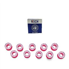 619/4-ZZ RICH 4x11x4 619/4-ZZ RICH