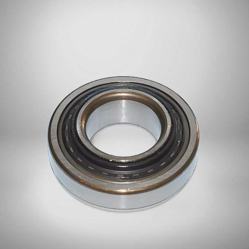 RD-3572 C4 (DG3572HWC4) RICH 35x72x23,2/21 RD-3572 C4 RICH