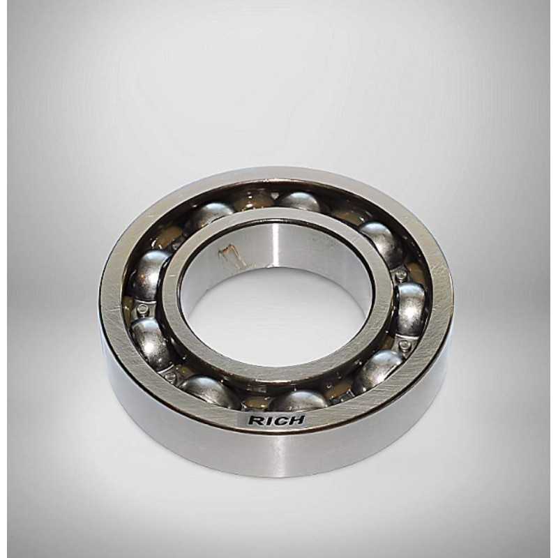 RD-205212-2 (DG20521229TCS24) RICH 20x52x12 RD-205212-2 RICH