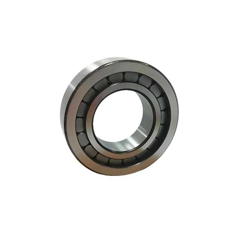 SL182204 RICH 20x47x18 SL182204 RICH