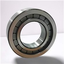 SL182209 RICH 45x85x23 SL182209 RICH