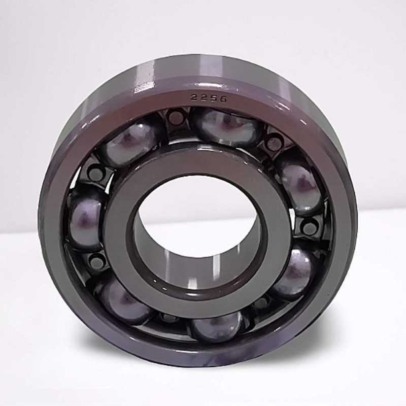 RD-2256 C3 (DG2256SH2C3) RICH 22x56x16 RD-2256-C3 RICH