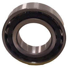 N 2209 RICH 45x85x23 N2209 RICH