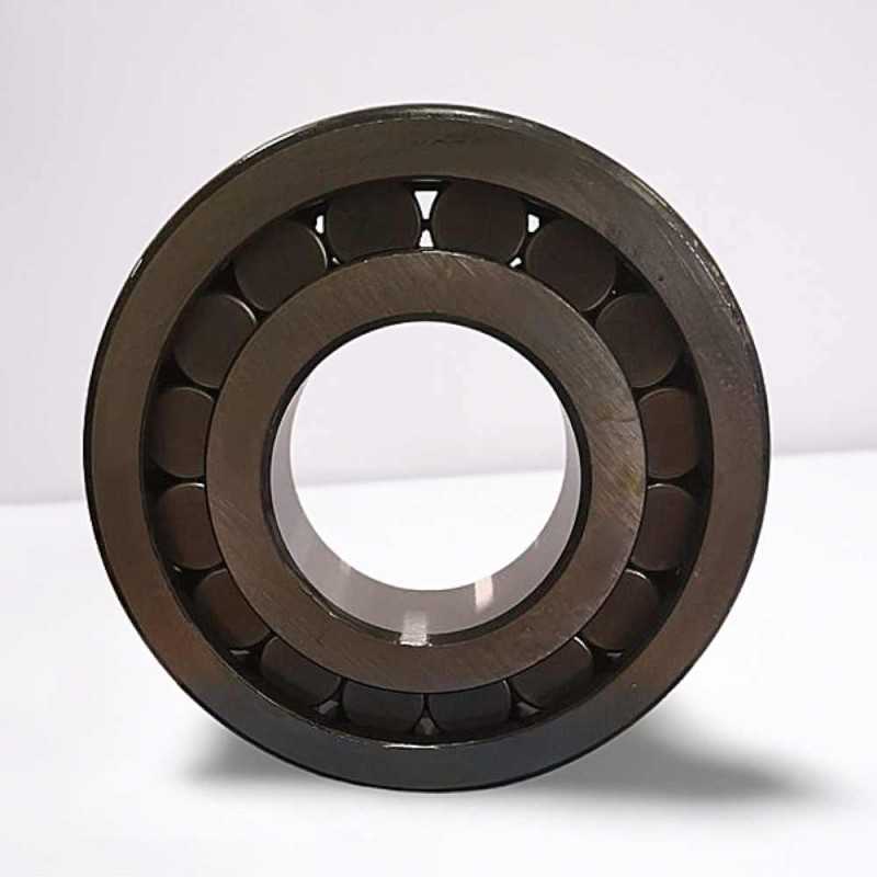 RC-320308 (BC1B 320308A) RICH 45x100x31 RC-320308 RICH