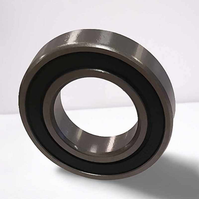 6005-2RS RICH 25x47x12 60052RS RICH