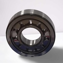 NU 305 RICH 25x62x17 NU305 RICH