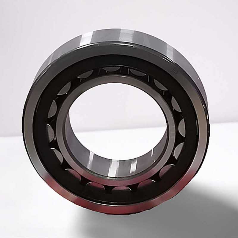 NJ 2213 RICH 65x120x31 NJ2213 RICH