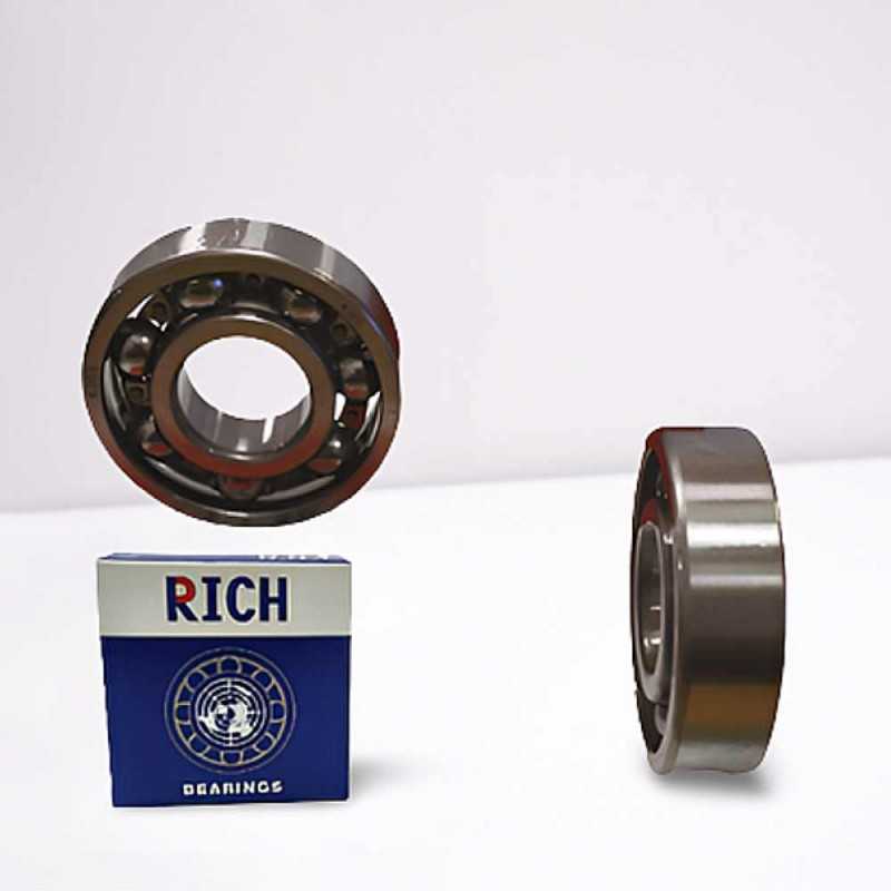 6304 RICH 20x52x15 6304 RICH