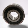 3003-2RS RICH 17x35x14 3003-2RS RICH