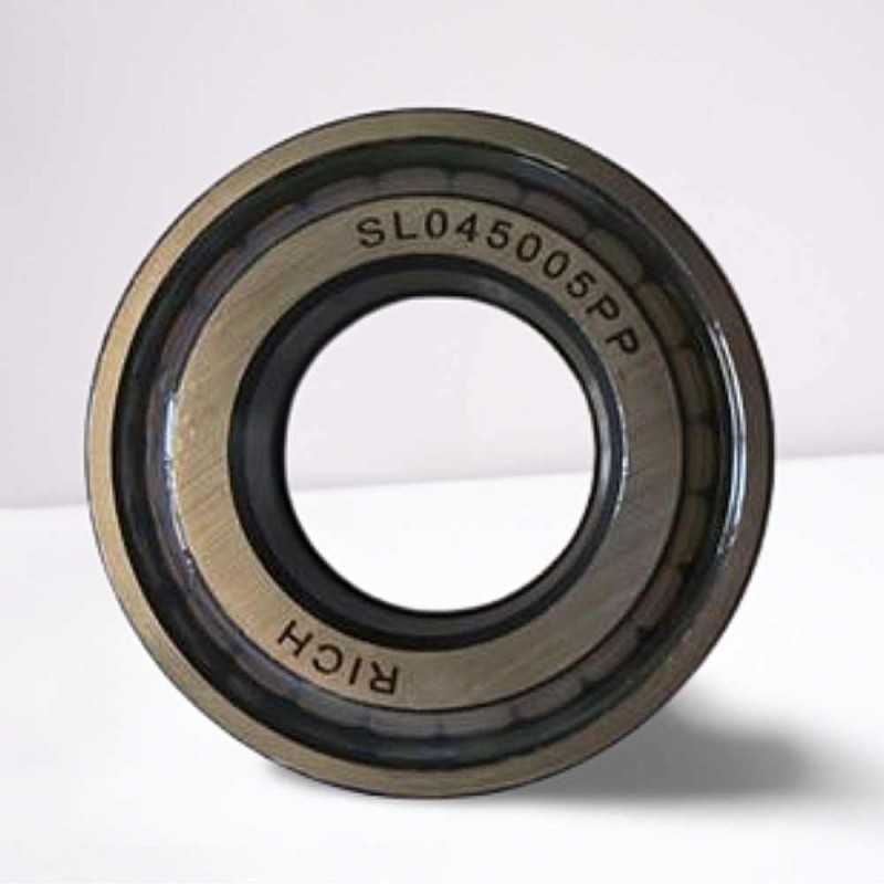 SL045005-PP RICH 25x47x30 SL045005PP RICH