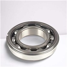 63/22 NR RICH 22x56x16 63/22-NR RICH